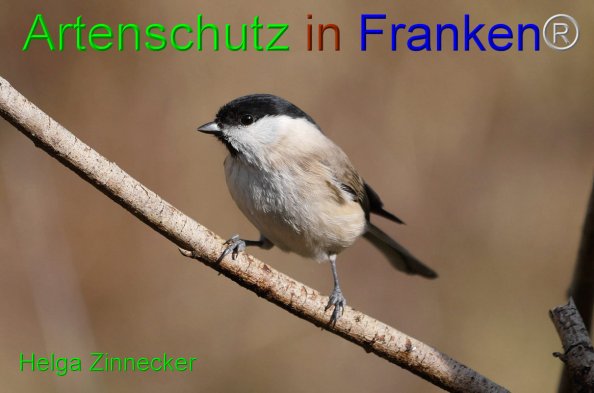 Copyright AiF - Helga Zinnecker Bild zum Eintrag (81509-160)