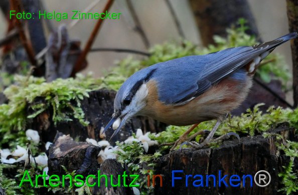 Copyright AiF - Helga Zinnecker Bild zum Eintrag (81514-160)