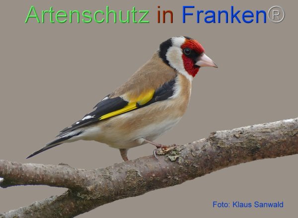 Copyright AiF - Klaus Sanwald Bild zum Eintrag (81608-160)