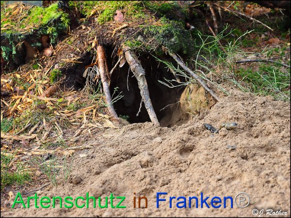 Copyright AiF Johannes Rother Bild zum Eintrag (81886-160)