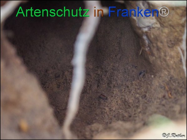 Copyright AiF Johannes Rother Bild zum Eintrag (81888-160)