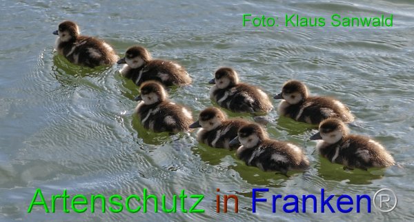 Copyright AiF - Klaus Sanwald Bild zum Eintrag (81923-160)