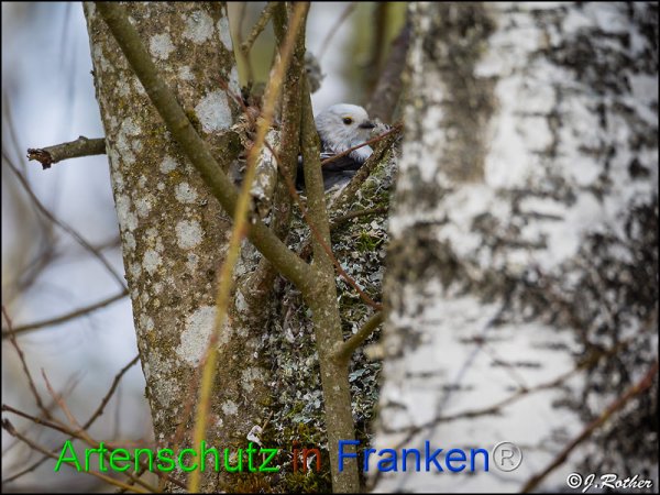 Copyright AiF Johannes Rother Bild zum Eintrag (82085-160)