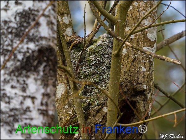 Copyright AiF Johannes Rother Bild zum Eintrag (82086-160)