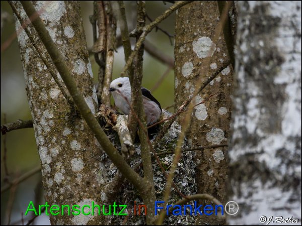 Copyright AiF Johannes Rother Bild zum Eintrag (82087-160)