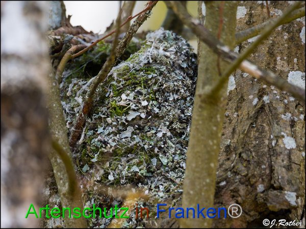 Bild zum Eintrag (82089-160)