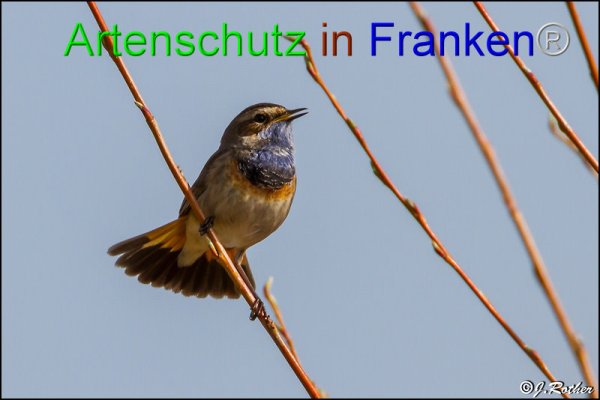 Copyright AiF Johannes Rother Bild zum Eintrag (82102-160)