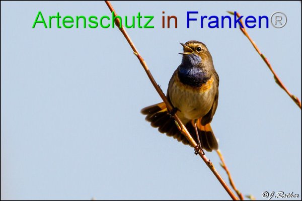 Copyright AiF Johannes Rother Bild zum Eintrag (82103-160)