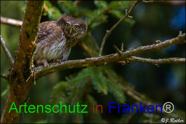 Copyright AiF Johannes Rother Bild zum Eintrag (82181-160)