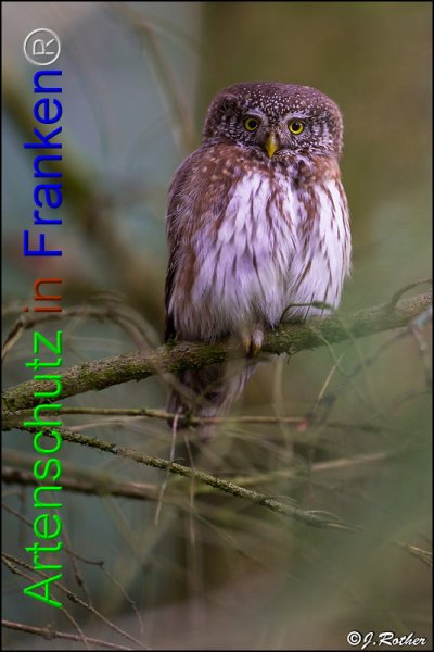 Copyright AiF Johannes Rother Bild zum Eintrag (82182-160)