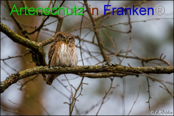 Copyright AiF Johannes Rother Bild zum Eintrag (82183-160)