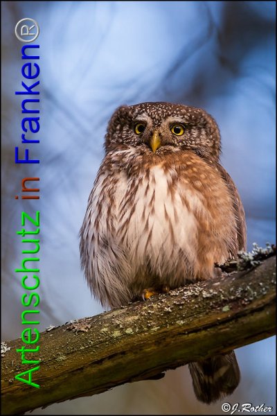 Copyright AiF Johannes Rother Bild zum Eintrag (82185-160)