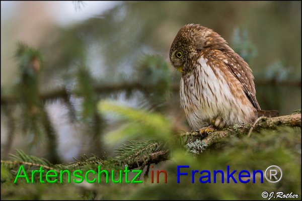Copyright AiF Johannes Rother Bild zum Eintrag (82186-160)