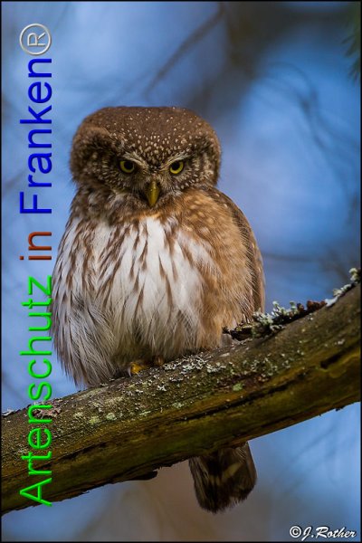 Copyright AiF Johannes Rother Bild zum Eintrag (82188-160)