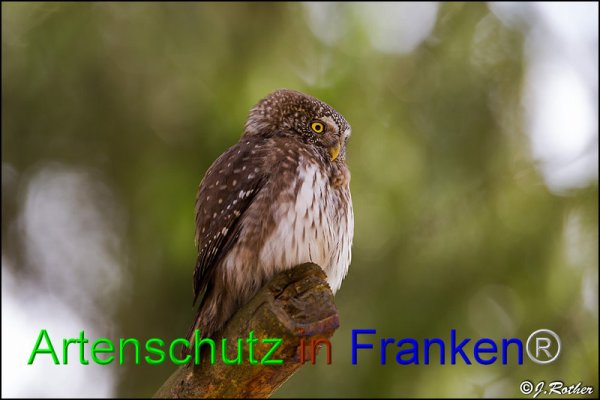 Copyright AiF Johannes Rother Bild zum Eintrag (82189-160)