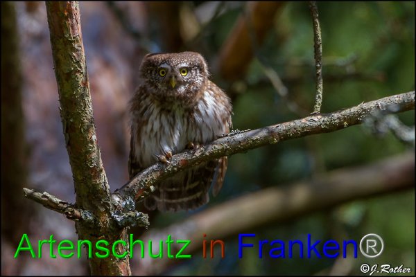 Copyright AiF Johannes Rother Bild zum Eintrag (82190-160)