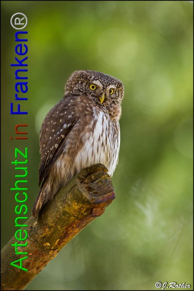 Copyright AiF Johannes Rother Bild zum Eintrag (82191-160)