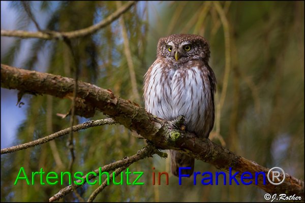 Copyright AiF Johannes Rother Bild zum Eintrag (82192-160)