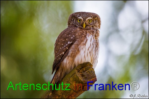 Copyright AiF Johannes Rother Bild zum Eintrag (82193-160)