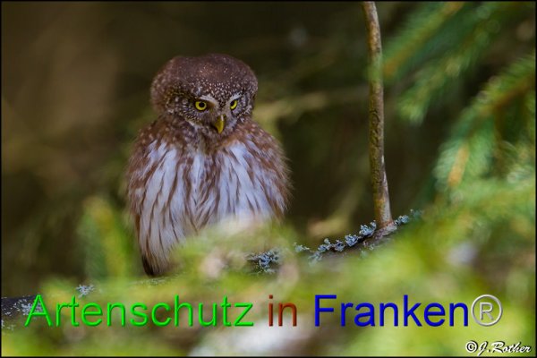 Copyright AiF Johannes Rother Bild zum Eintrag (82194-160)