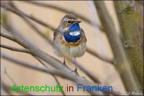 Copyright AiF Johannes Rother Bild zum Eintrag (82236-160)