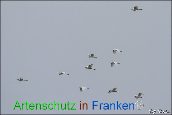 Copyright AiF Johannes Rother Bild zum Eintrag (82246-160)