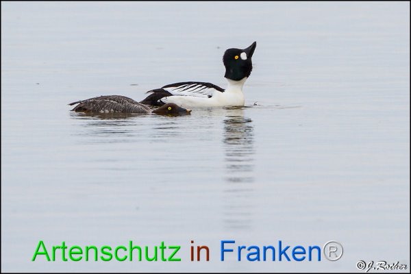 Copyright AiF Johannes Rother Bild zum Eintrag (82251-160)