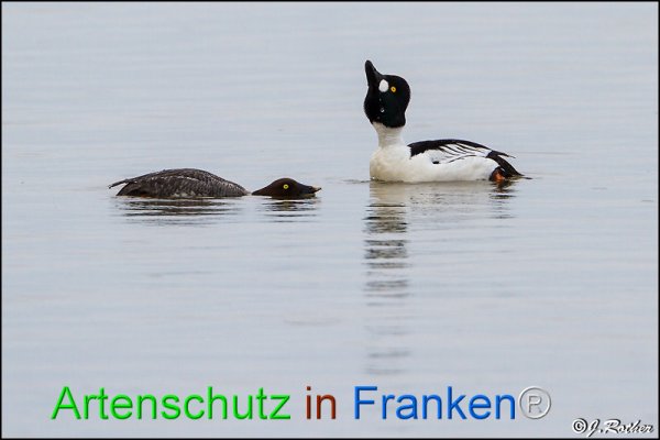 Copyright AiF Johannes Rother Bild zum Eintrag (82252-160)
