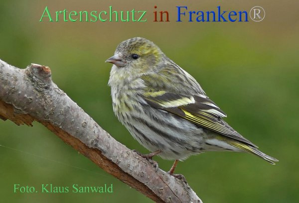 Copyright AiF - Klaus Sanwald Bild zum Eintrag (82332-160)