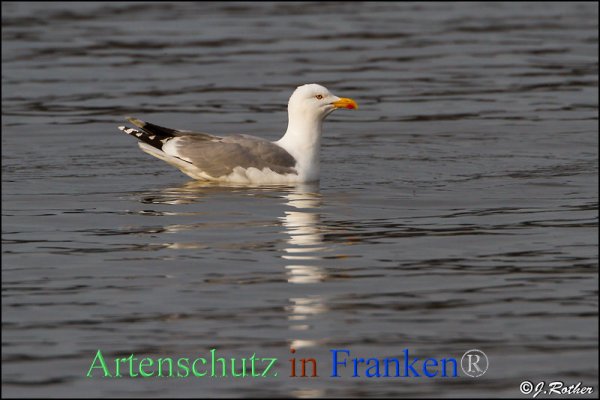 Copyright AiF Johannes Rother Bild zum Eintrag (82336-160)