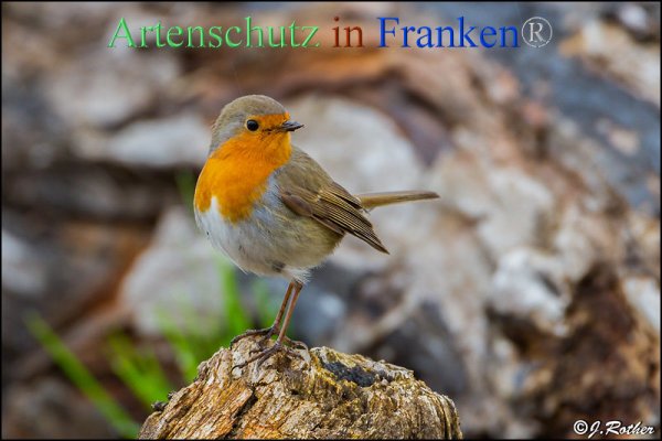 Copyright AiF Johannes Rother Bild zum Eintrag (82340-160)