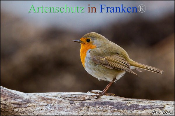 Copyright AiF Johannes Rother Bild zum Eintrag (82341-160)