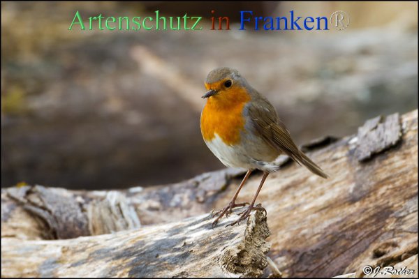 Copyright AiF Johannes Rother Bild zum Eintrag (82342-160)