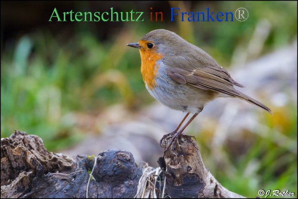 Copyright AiF Johannes Rother Bild zum Eintrag (82343-160)