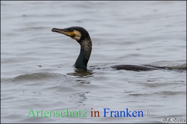 Copyright AiF Johannes Rother Bild zum Eintrag (82347-160)