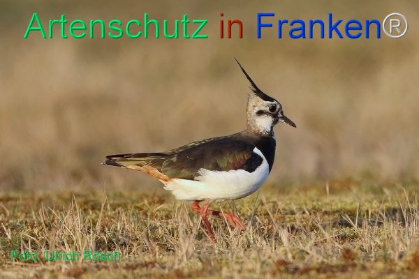 Copyright AiF Ulrich Rösch Bild zum Eintrag (82374-160)