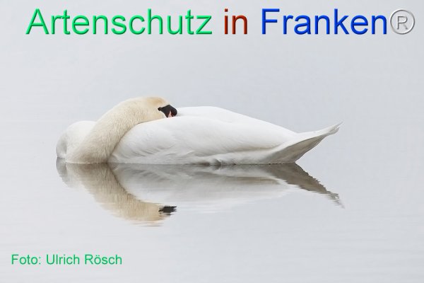Copyright AiF Ulrich Rösch Bild zum Eintrag (82384-160)