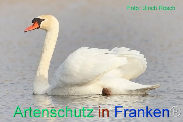 Copyright AiF Ulrich Rösch Bild zum Eintrag (82385-160)