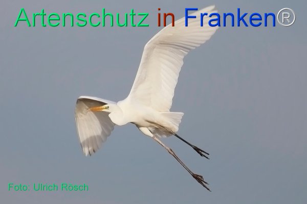 Copyright AiF Ulrich Rösch Bild zum Eintrag (82390-160)