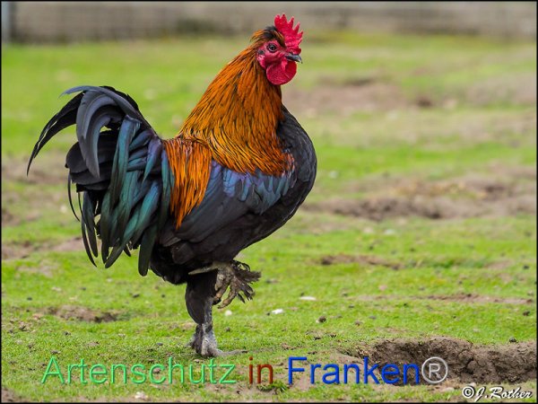 Copyright AiF Johannes Rother Bild zum Eintrag (82457-160)