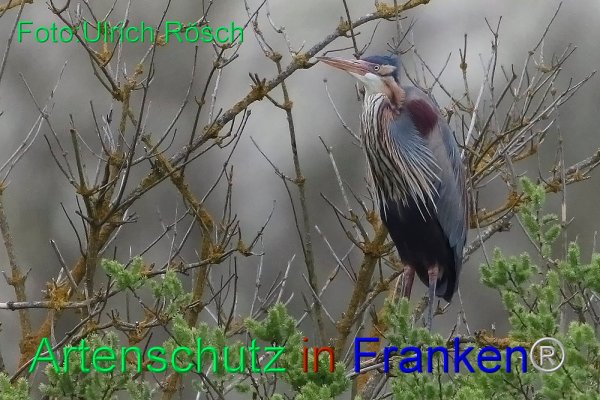 Copyright AiF Ulrich Rösch Bild zum Eintrag (82511-160)