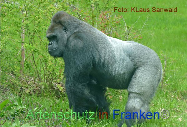 Copyright AiF - Klaus Sanwald Bild zum Eintrag (82576-160)