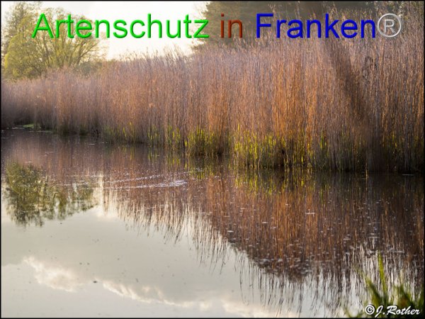 Copyright AiF Johannes Rother Bild zum Eintrag (82598-160)