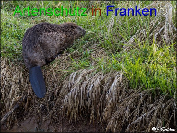 Copyright AiF Johannes Rother Bild zum Eintrag (82604-160)
