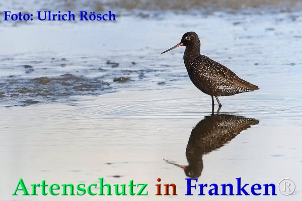 Copyright AiF Ulrich Rösch Bild zum Eintrag (82709-160)