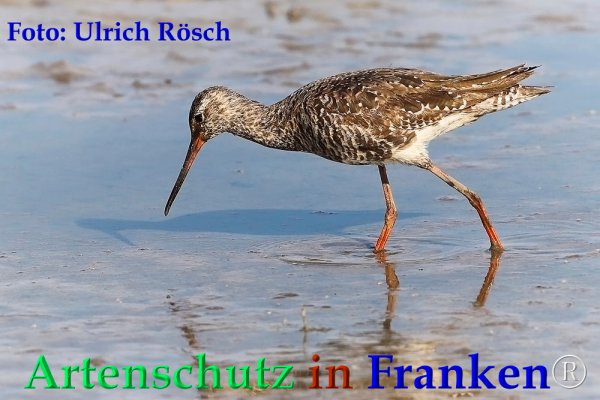 Copyright AiF Ulrich Rösch Bild zum Eintrag (82710-160)