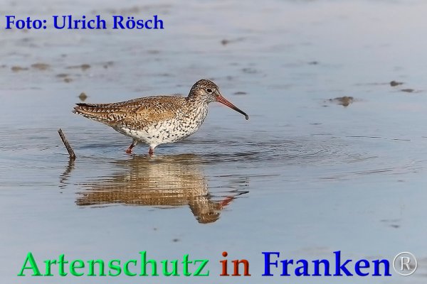 Copyright AiF Ulrich Rösch Bild zum Eintrag (82711-160)