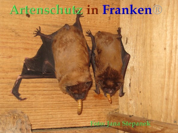 Copyright AiF Jana Stepanek Bild zum Eintrag (82737-160)