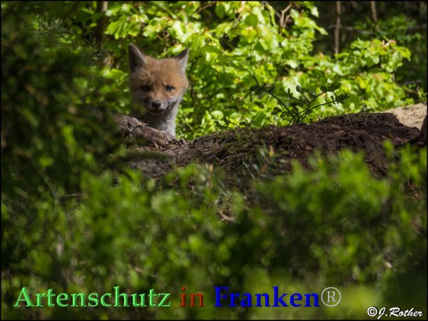 Copyright AiF Johannes Rother Bild zum Eintrag (82748-160)