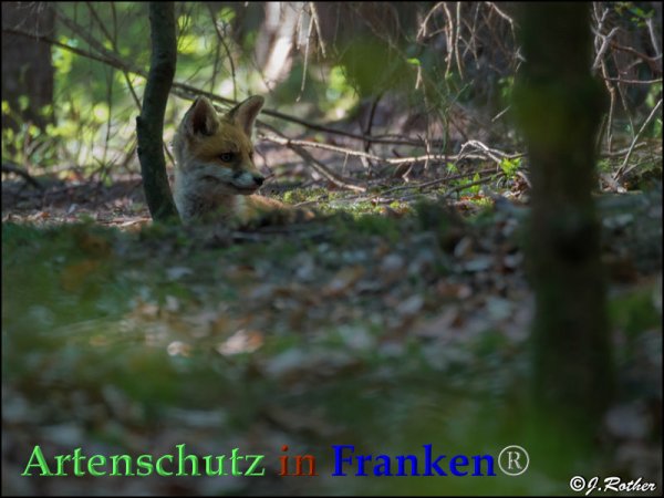 Copyright AiF Johannes Rother Bild zum Eintrag (82749-160)